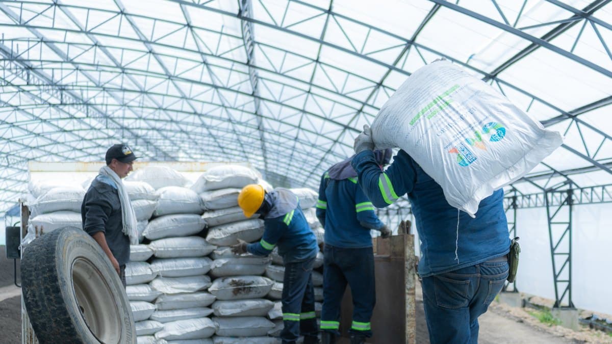 El precio internacional de la urea subió 6,9 % en septiembre y rompió cinco meses de caídas, según el AMIS de la FAO