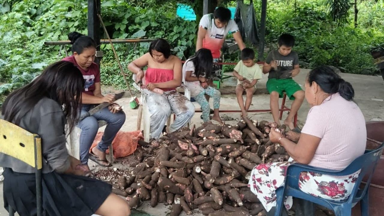 Familias Sikuani de Tame, Arauca, elaboran casabe y mañoco en un predio sin legalizar, según Radio Nacional de Colombia