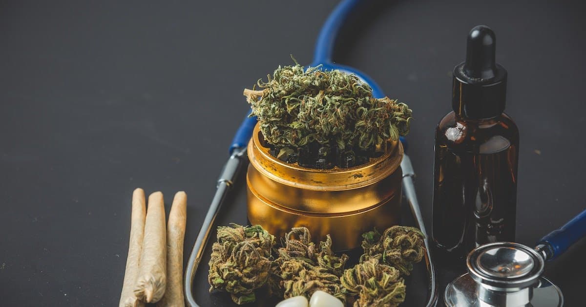 Consorcio Panamericana de Cannabis presentó al MIDA su plan de cultivo en interiores y aún espera licencias para importar semillas
