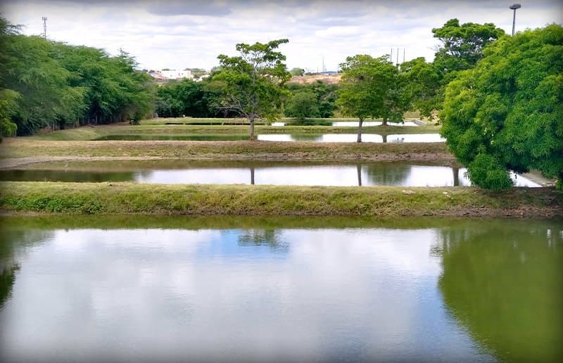 Brasil publica la Resolución 517/2026, que licencia la acuicultura según el volumen de producción anual, según el Ministerio de Pesca