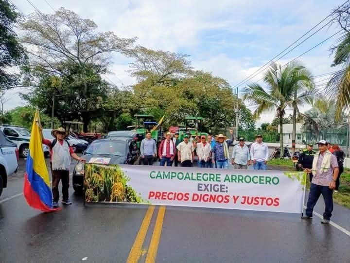 Arroceros del Huila siguen en pérdidas con la carga en $200.000 frente a un equilibrio de $208.000, según Dignidad Arrocera