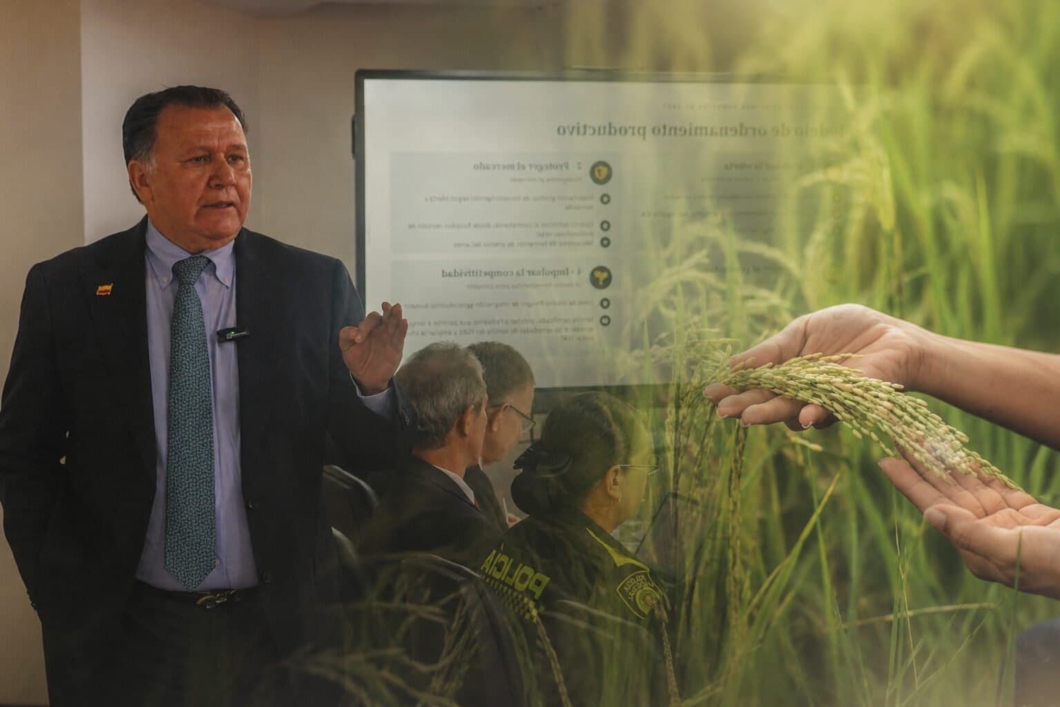 El Consejo Nacional del Arroz acordó un modelo que zonificará siembras por departamento y creará un mecanismo de precios desde 2027