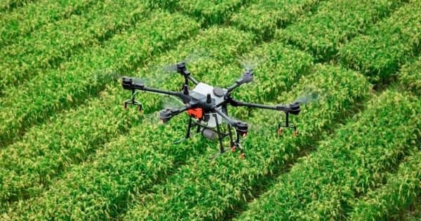China reduce 20 % los pesticidas y acorta los ciclos de mejoramiento de semillas con inteligencia artificial, según AgroLatam
