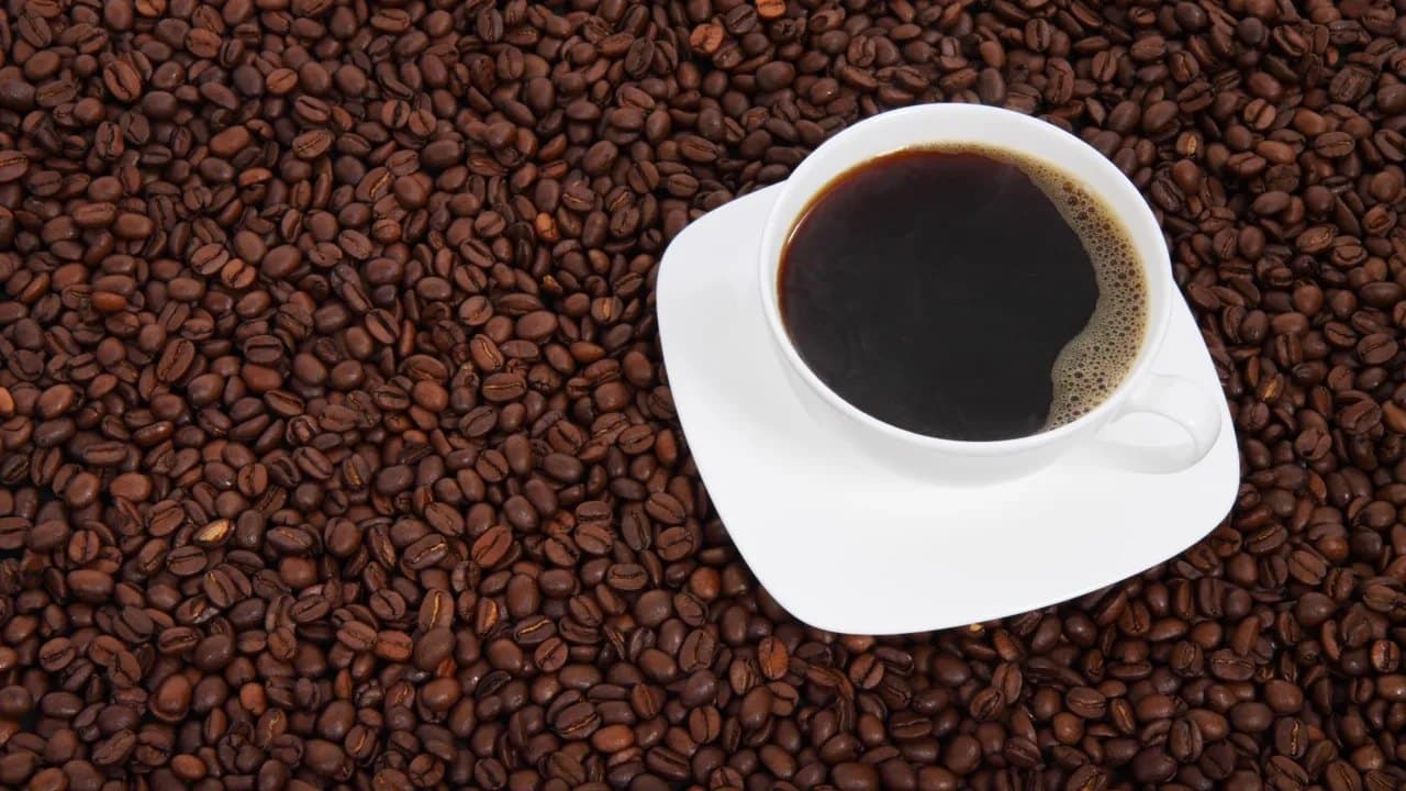 Cafés de Colombia Expo 2026 reunirá a 180 expositores en Corferias, Bogotá, del 15 al 18 de octubre, según organizadores