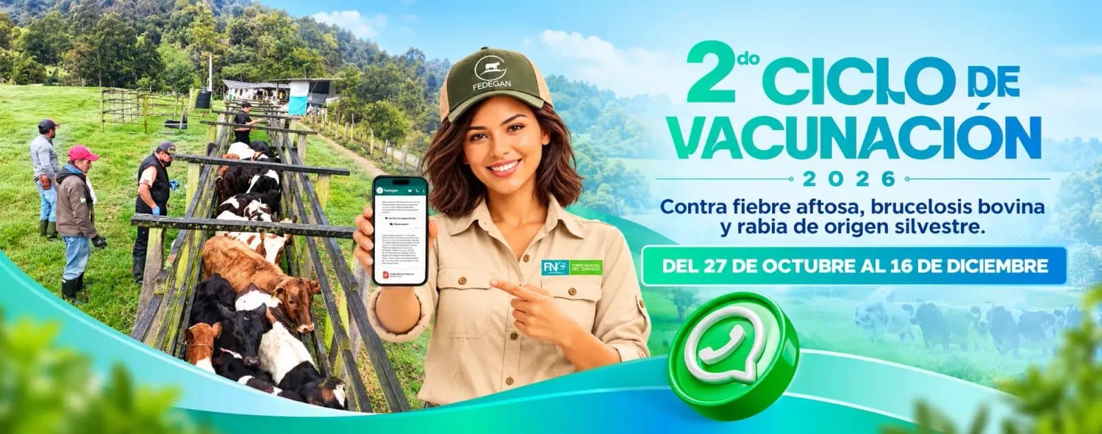 Fedegán-FNG lanzará un chatbot de WhatsApp y enviará el registro de vacunación en PDF en el segundo ciclo contra aftosa, según CONtexto Ganadero