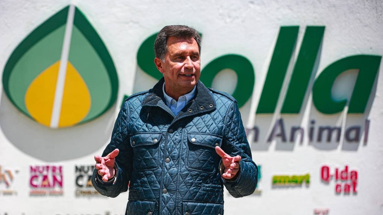 Solla, empresa de alimentos balanceados, dice que sobreoferta, El Niño y demoras portuarias golpean sus márgenes, según su presidente