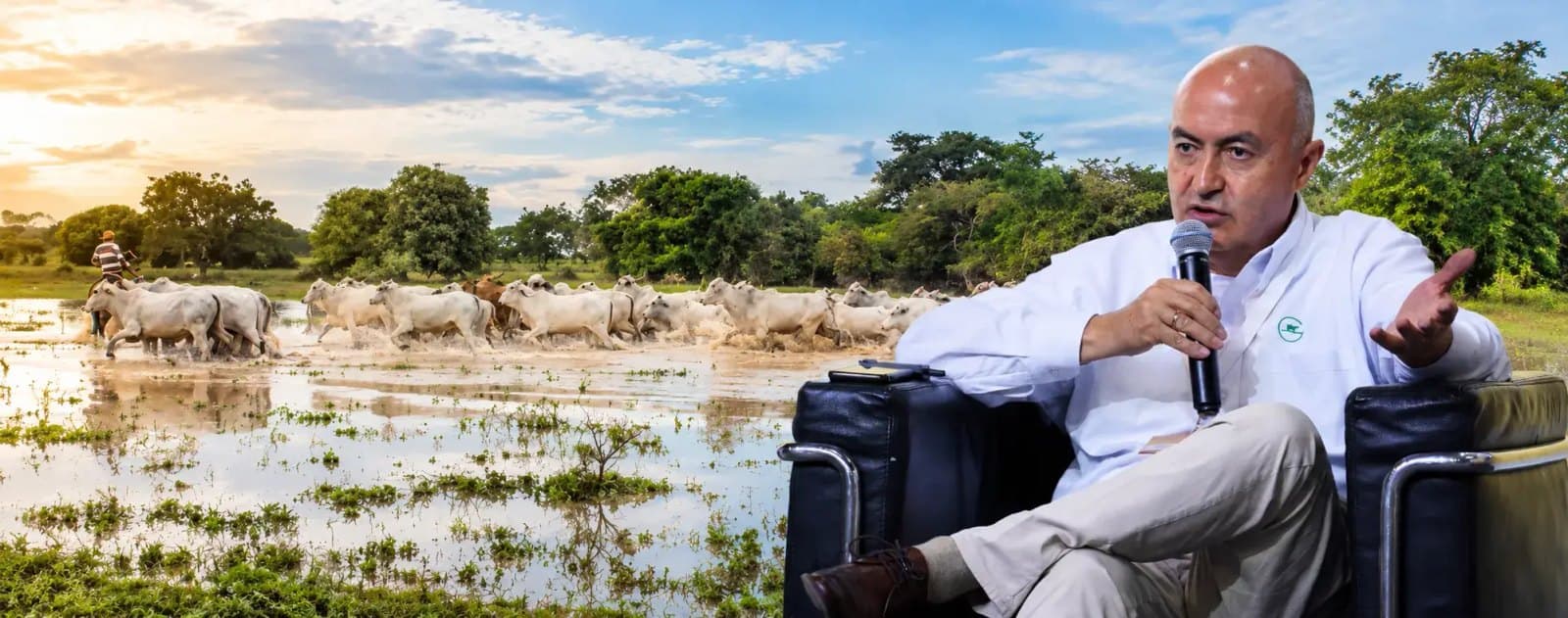 Fedegán afirma que las sabanas inundables de Arauca y Casanare pueden producir más ganado sin aumentar la carga animal por hectárea