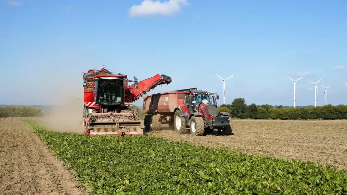 El Ministerio de Agricultura busca recursos de Suecia para tres proyectos rurales que quiere iniciar el 1 de enero de 2027
