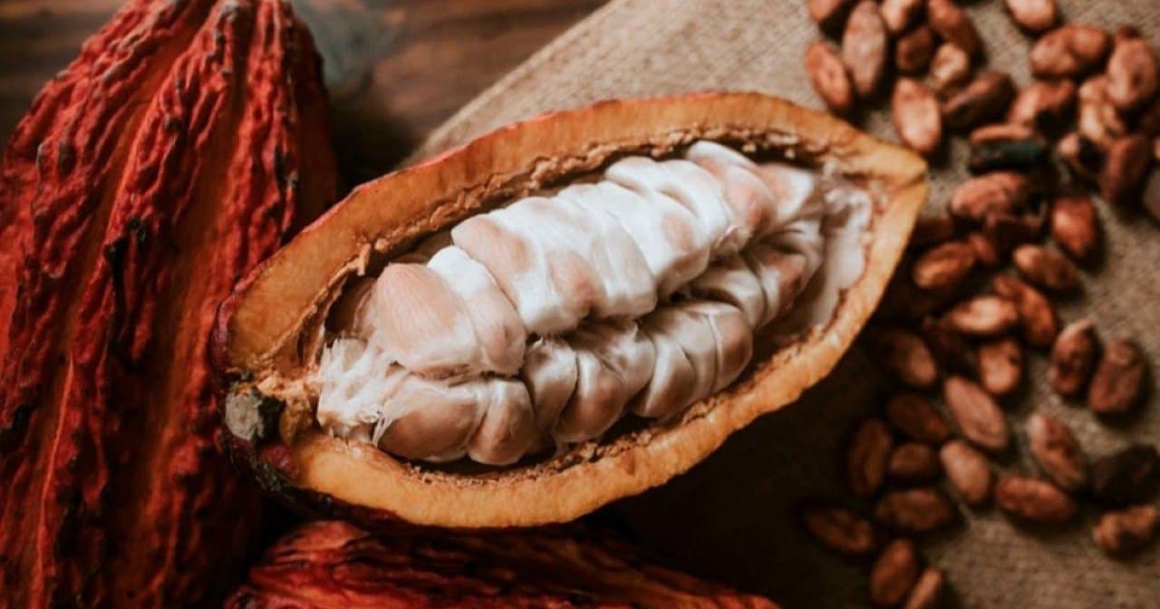 Anecacao afirma que los cortes eléctricos paralizan por momentos la producción de chocolates y semielaborados de cacao en Ecuador
